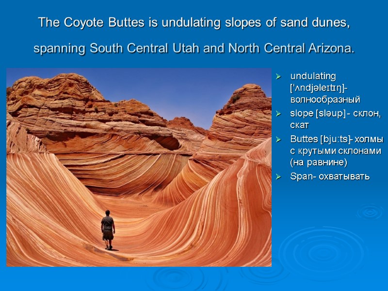 The Coyote Buttes is undulating slopes of sand dunes, spanning South Central Utah and